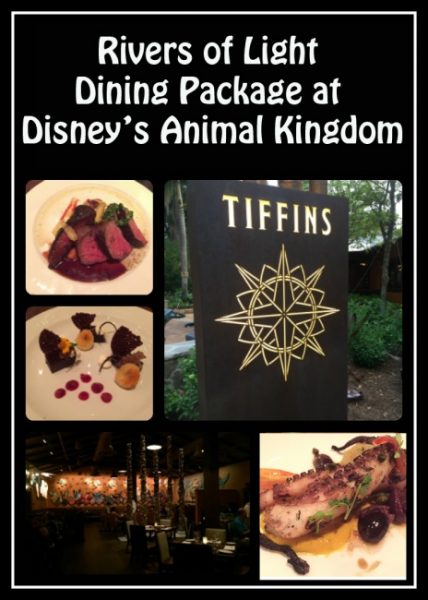 Rivers of Light Dining Package
