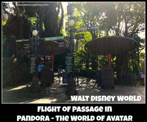 Avatar Flight of Passage