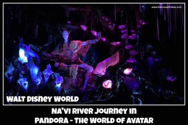 Na'vi River Journey