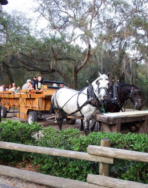 disney world wagon