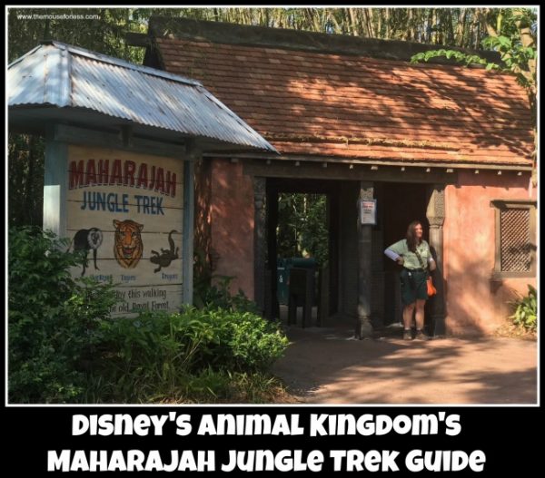 Maharajah Jungle Trek