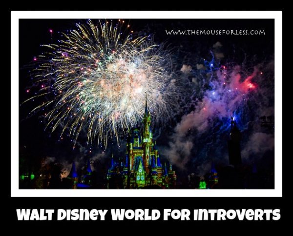 Introvert at Disney