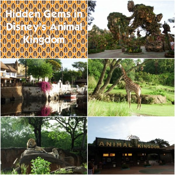 hidden gems