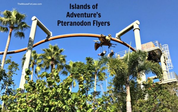 Pteranodon Flyers