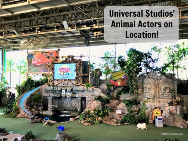 Universal Studios Animal Actors On Location | Universal Studios Florida