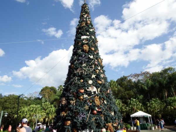 Disney's Animal Kingdom Christmas