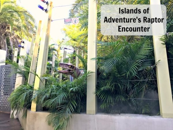 Raptor Encounter