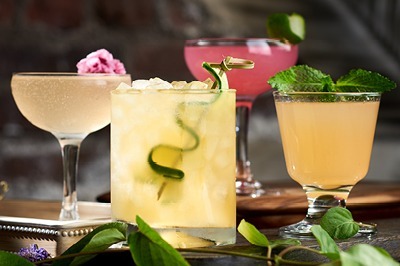 Havana Nights Cocktails