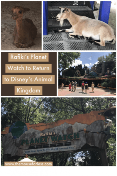Rafiki's Planet Watch Will Return to Disney's Animal Kingdom Rafiki's Planet Watch Will Return to Disney's Animal Kingdom