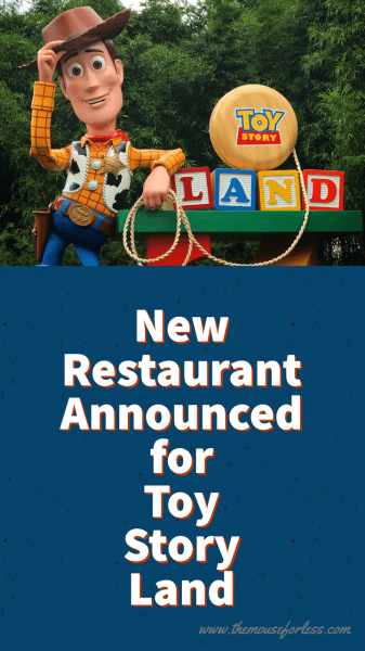 roundup rodeo bbq disney world