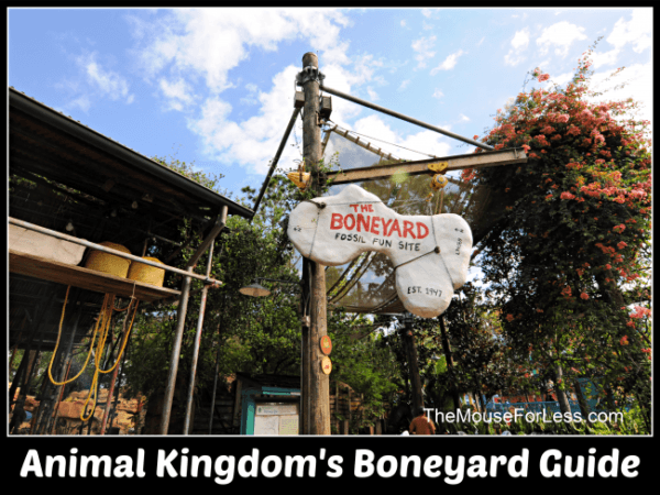 The Boneyard - Animal Kingdom - Disney World