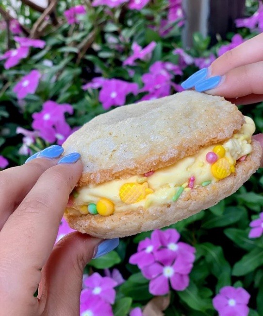 Disney Springs Flavors of Florida
