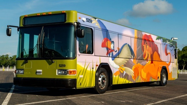 Buses