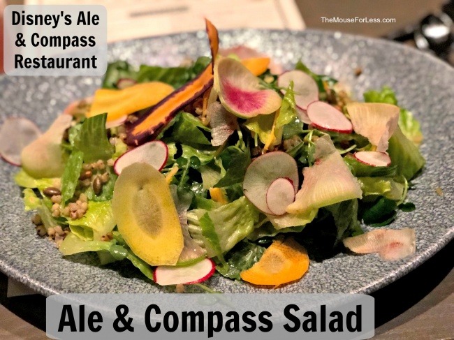 ale & compass disney yacht club resort