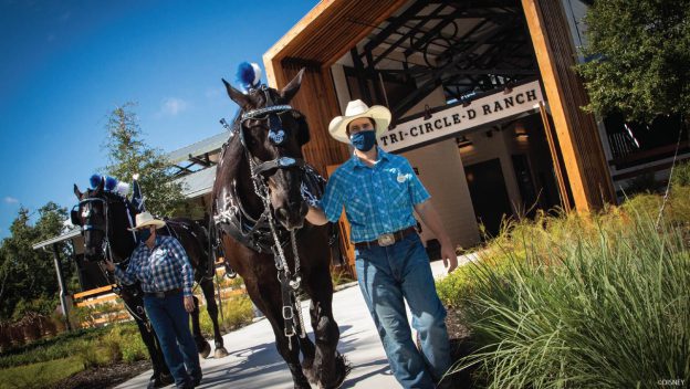 Tri-Circle D Ranch