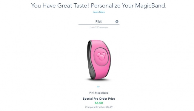 MagicBands