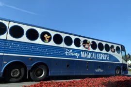 Magical Express