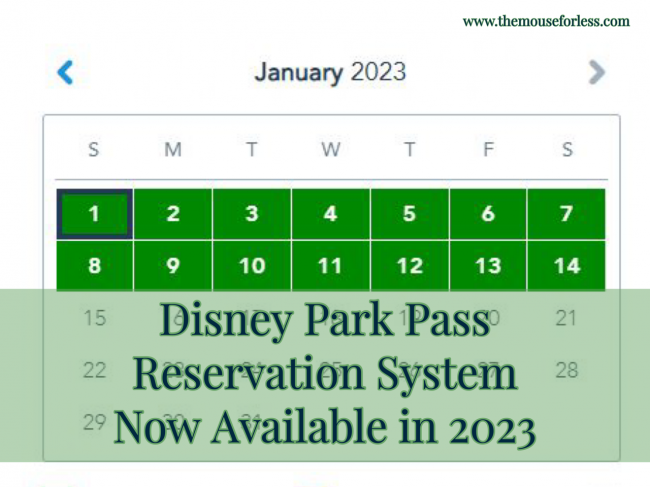 Disney Park Pass