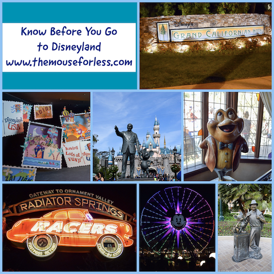 Know Before You Go to Disneyland