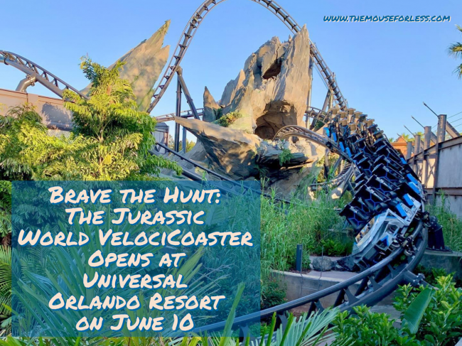 Universal's Islands of Adventure: VelociCoaster roller coaster opens June 10