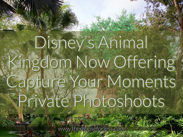 Disney's Animal Kingdom Now Offering Special Private Photoshoots
