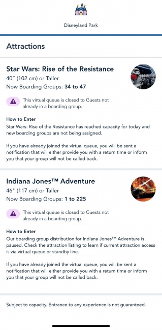Indiana Jones Adventure