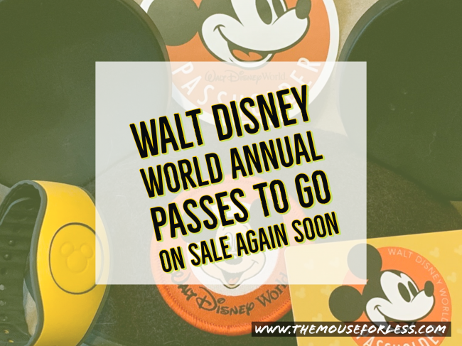 Disney World Annual Passes