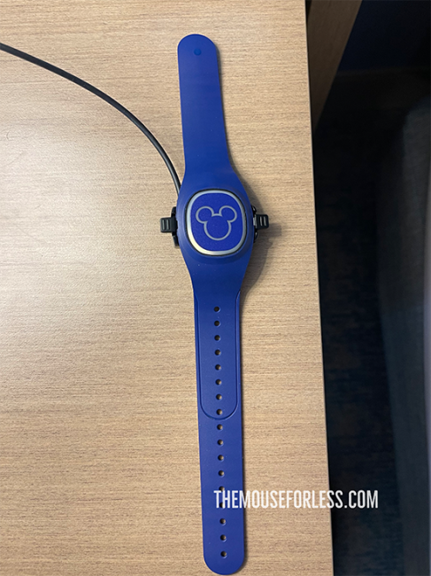 MagicBand+