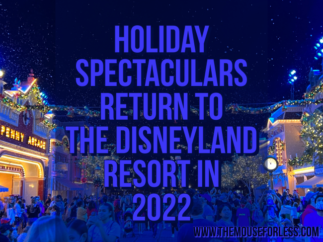 Disneyland Christmas Holiday