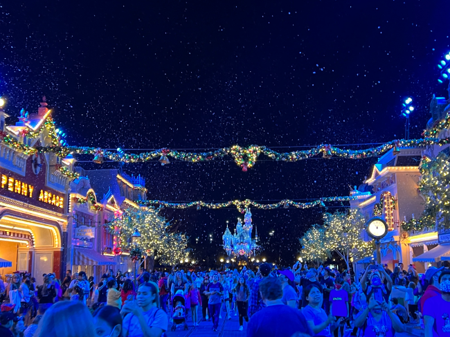 Disneyland Christmas Holiday