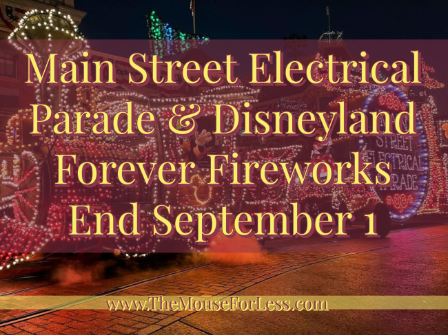 Main Street Electrical Parade