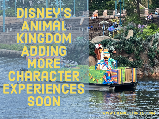 Disney's Animal Kingdom Characters