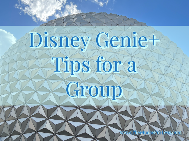 Disney Genie+ Tips for a Group