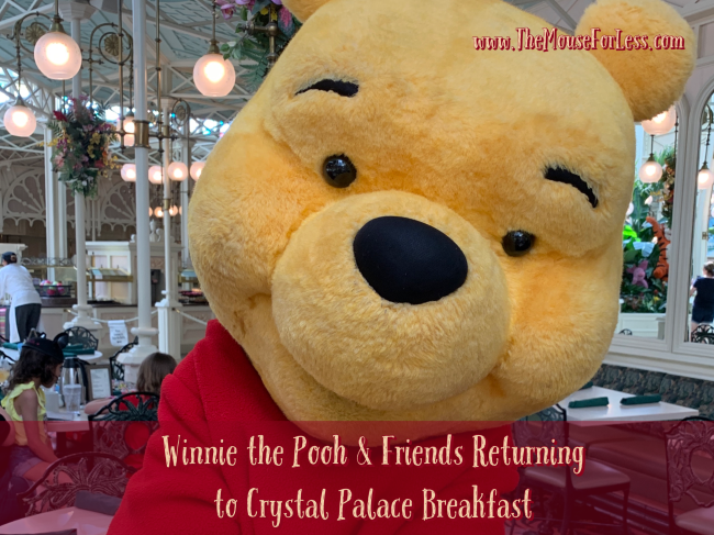 Winnie the Pooh Crystal Palace