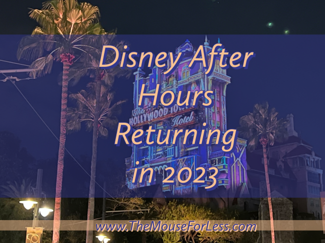 Disney After Hours