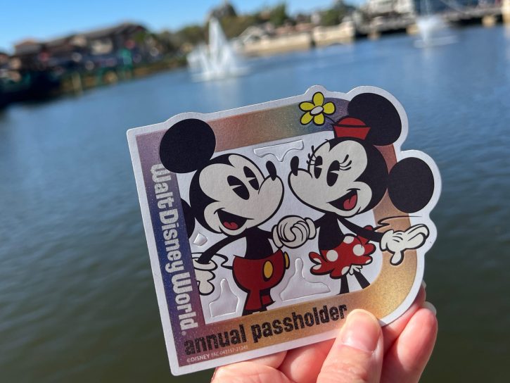 Walt Disney World Annual Pass