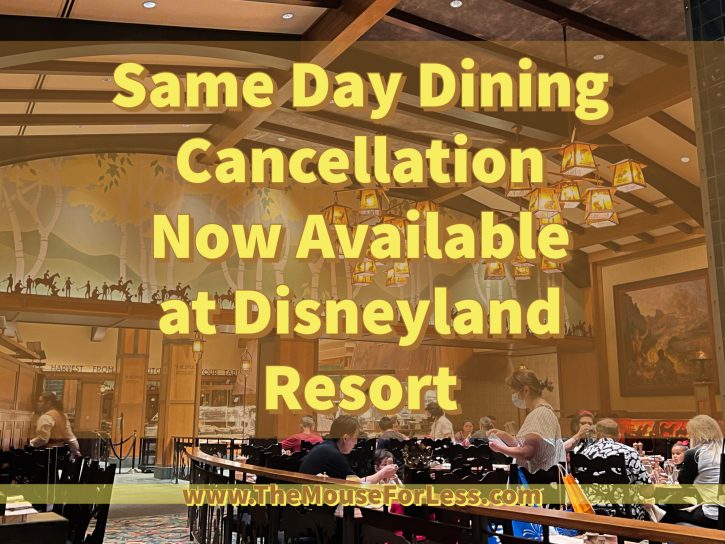 Disney Dining Cancellation Disneyland