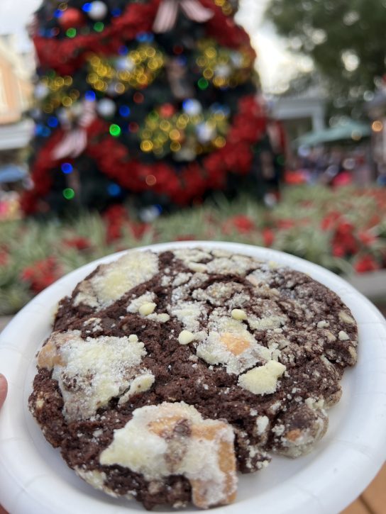 Crinkle Cookie - EPCOT Festival of the Holidays