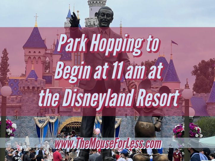 Park Hopping Disneuland