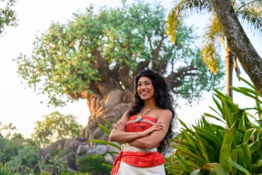Moana Meet and Greets