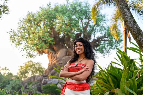 Moana Meet and Greets