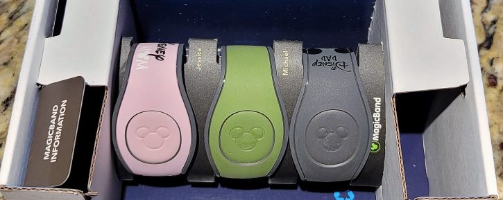 Magic Bands
