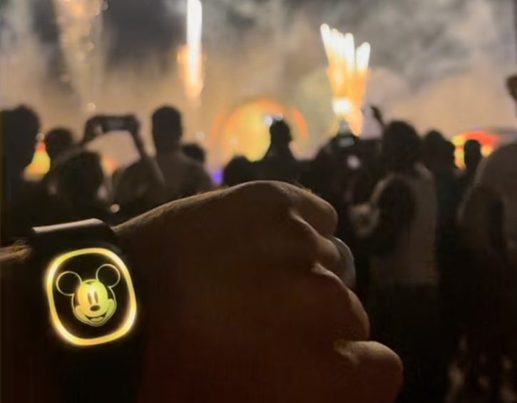 My disney experience magic bands