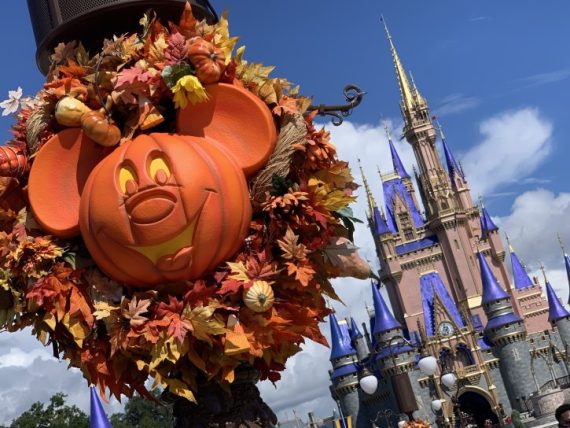 2025 Fall & Halloween Activities and Events at Walt Disney World