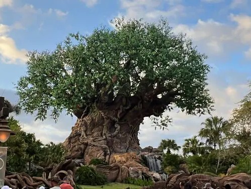 Earth Day | Disney's Animal Kingdom