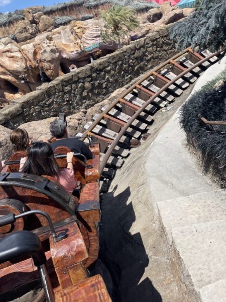 Picture on the Seven Dwarfs Mine Train of the carts going down a big hill with the tracks visible infront of it. Everything has a rustic feel.