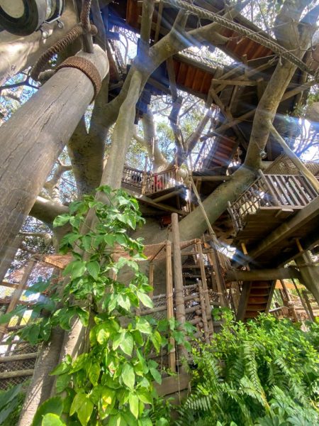 View looking up from the bottom of the Swiss Family Robinson Treehouse.