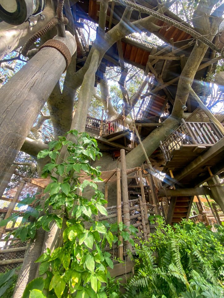 Swiss Family Treehouse - Adventureland - Magic Kingdom