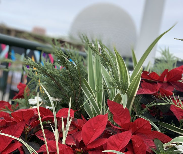 EPCOT Festival of the Holidays