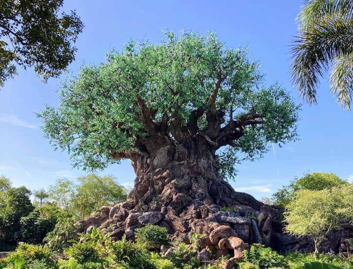 Educational Tree of Life in Animal Kingdom at Walt Disney World